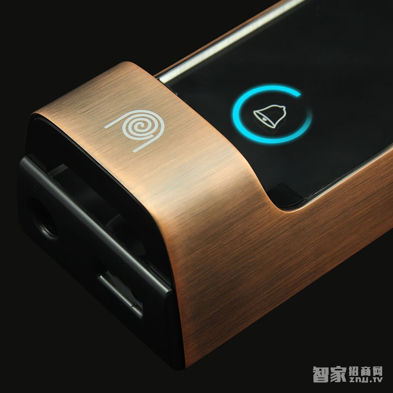 大华乐橙密码指纹锁 家用防盗电子锁