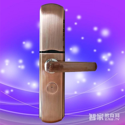 彬睿智能锁 家用防盗门智能锁 公寓入户门指纹密码锁
