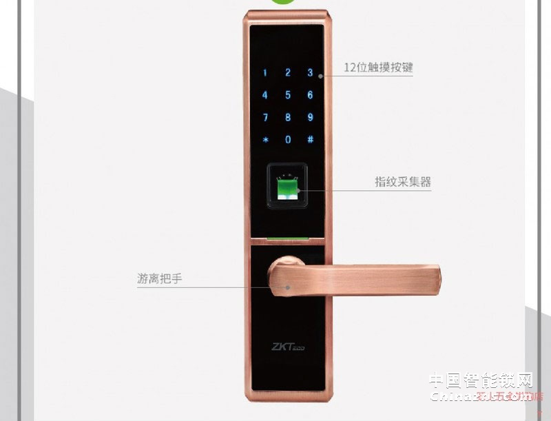 中控锌合金智慧锁TL100 家用电子防盗门密码锁