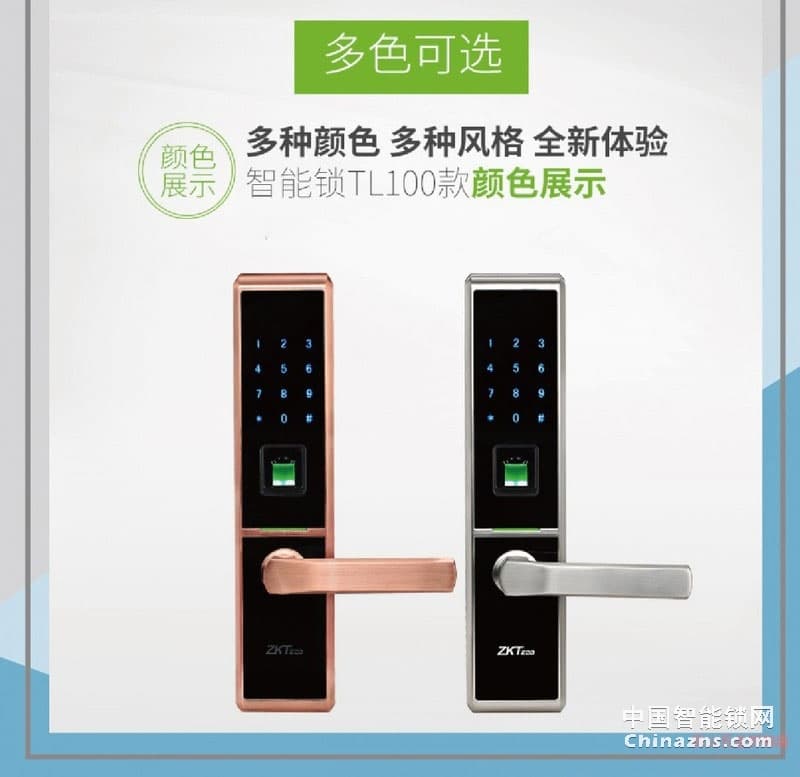 中控锌合金智慧锁TL100 家用电子防盗门密码锁
