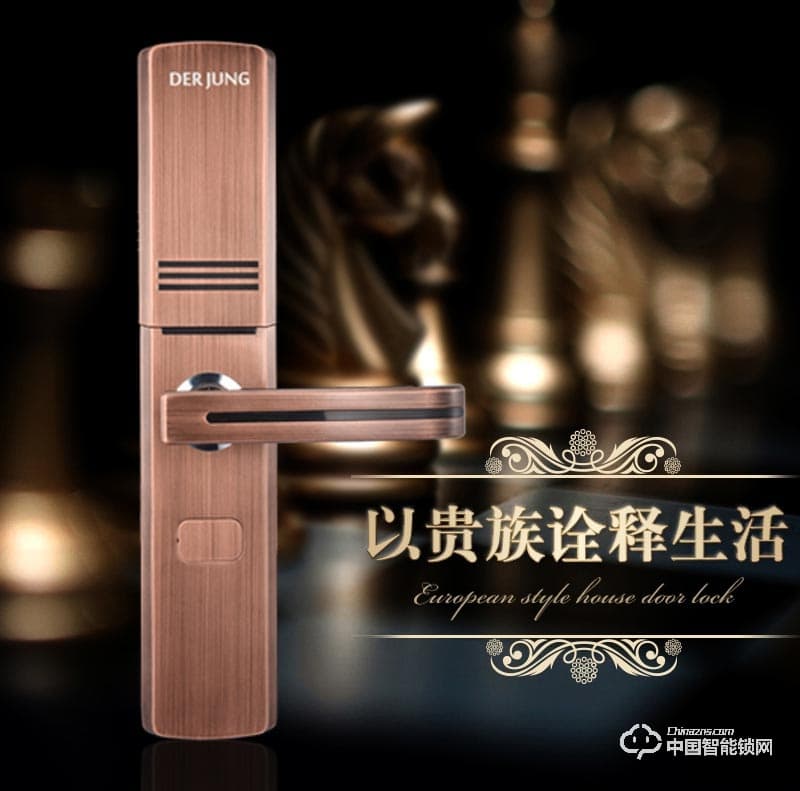 典匠智能锁 D6072安防滑盖智能门锁指纹锁