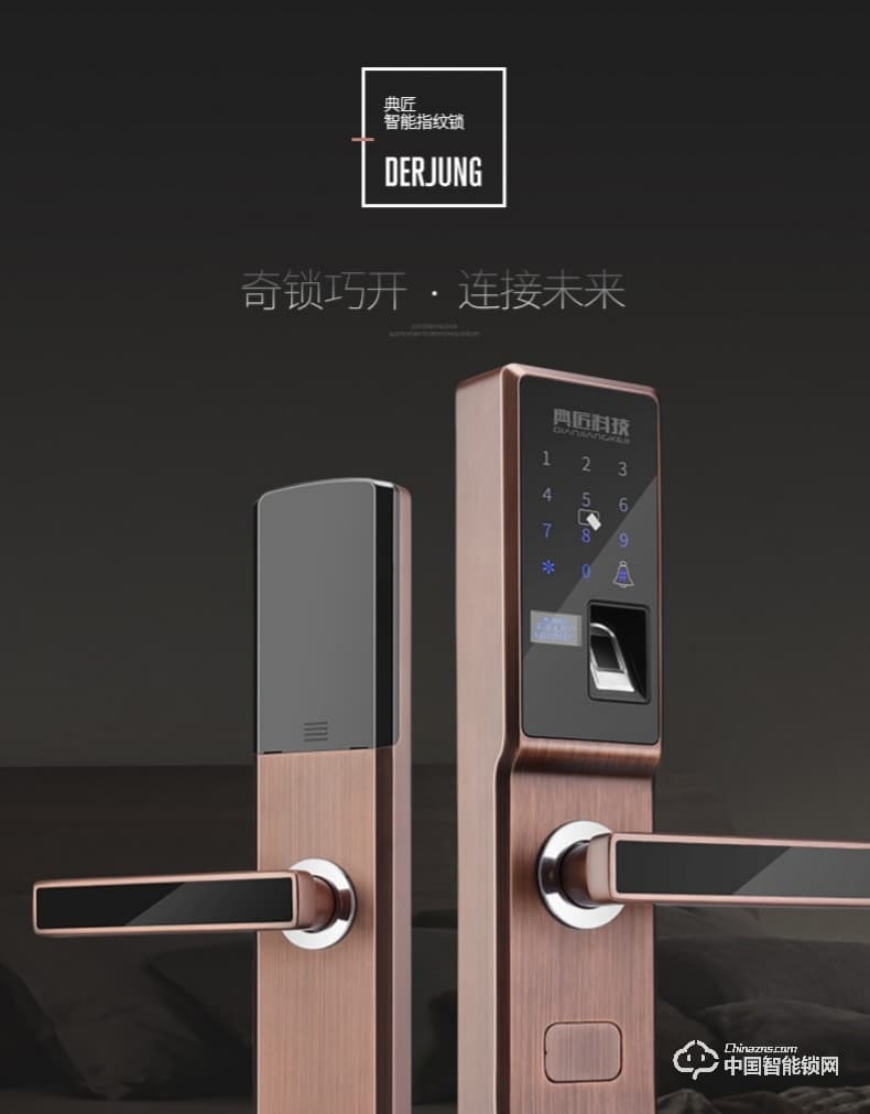 典匠智能锁 D6013指纹锁密码锁安防智能锁