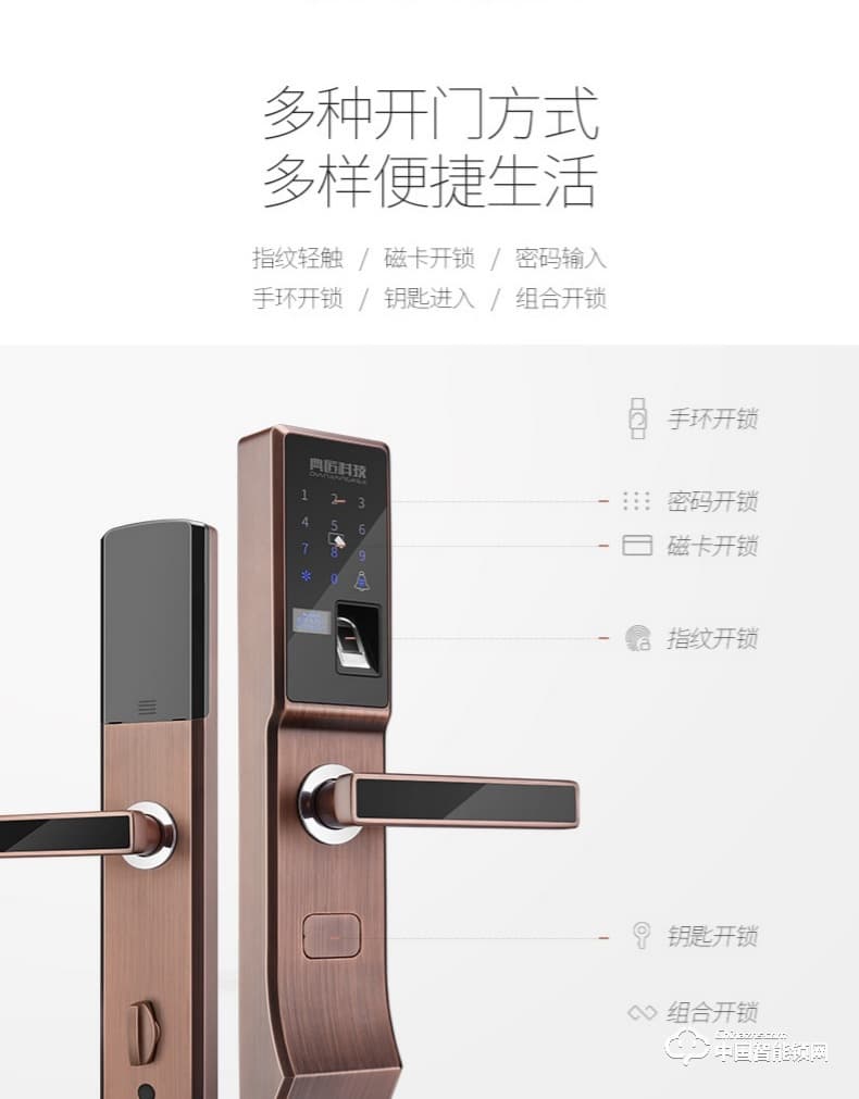 典匠智能锁 D6013指纹锁密码锁安防智能锁