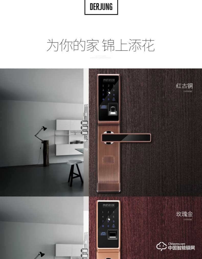 典匠智能锁 D6013指纹锁密码锁安防智能锁