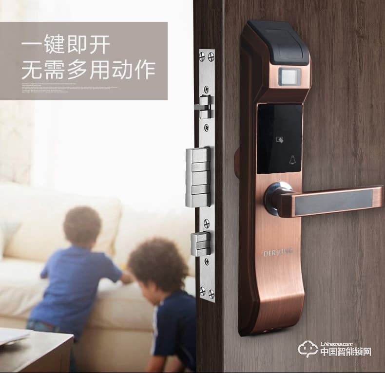 典匠智能锁 D6017智能家用防盗门半导体指纹锁密码锁