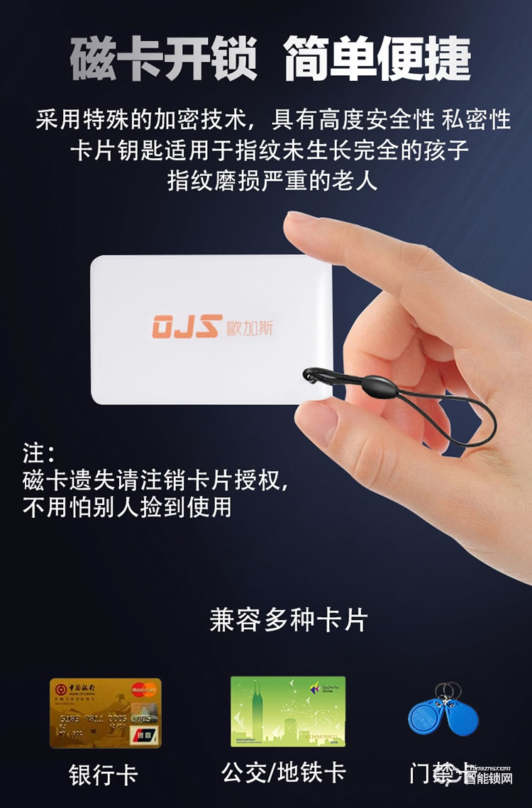 欧加斯智能锁 天猫精灵APP智能锁