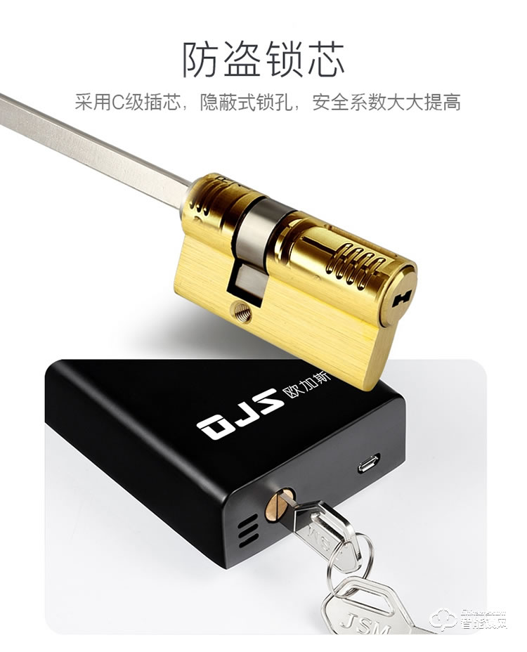 欧加斯智能锁 防盗门智能密码锁