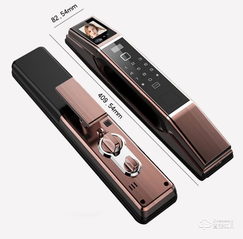佰德龙智能锁 Q10全自动人脸识别锁刷脸锁掌纹锁