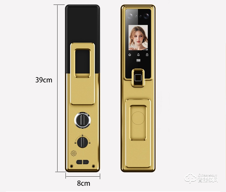 佰德龙智能锁 Q10全自动人脸识别锁刷脸锁掌纹锁