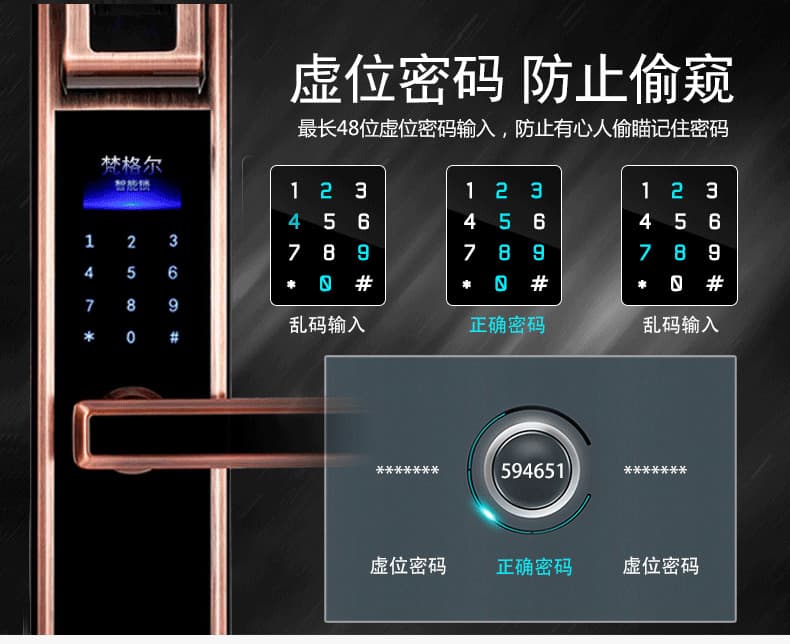 佰德龙智能锁 239家用防盗门电子密码锁