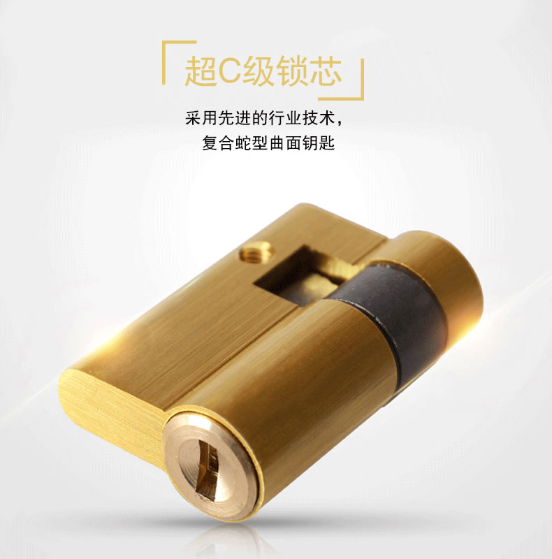 佰德龙智能锁 239家用防盗门电子密码锁