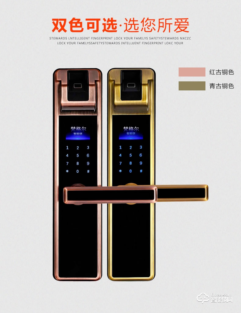 佰德龙智能锁 239家用防盗门电子密码锁