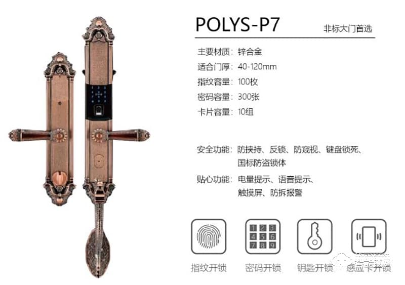 铂力斯盾智能锁 别墅大门锁家用防盗门锁