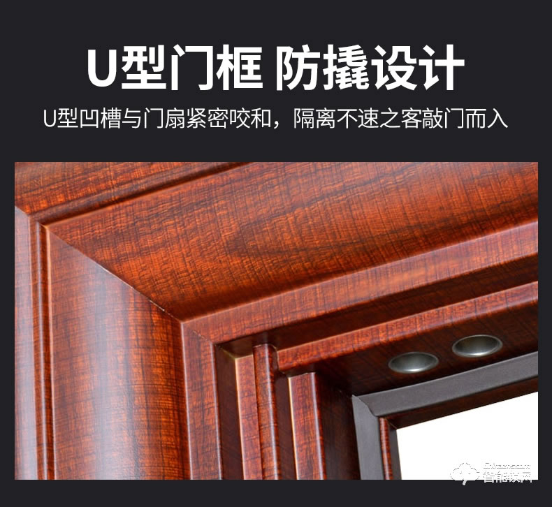高雅居智能门 甲级防盗门子母门