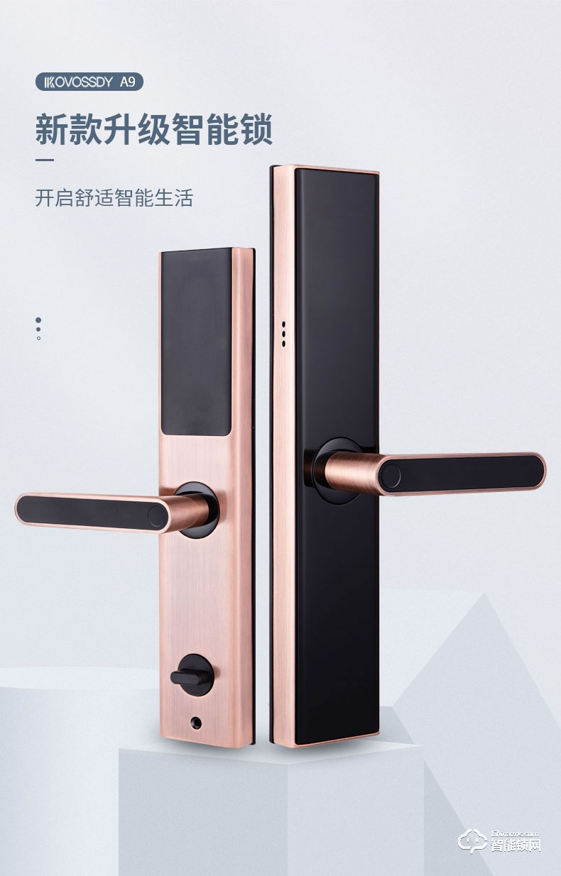 科沃迪智能锁 A9家用防盗门木门密码指纹锁