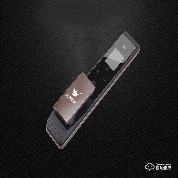 大鹅智能锁  全自动人脸识别家用智能锁