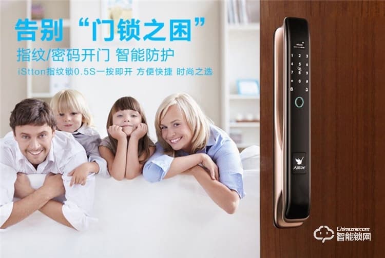 大鹅智能锁 防盗门全自动智能密码锁