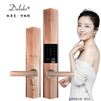 杜鲁克智能锁 家用防盗门指纹锁别墅门铜门刷卡密码锁
