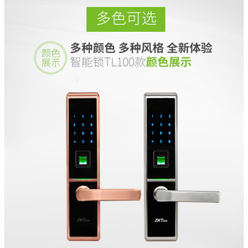 中控锌合金智慧锁TL100 家用电子防盗门密码锁