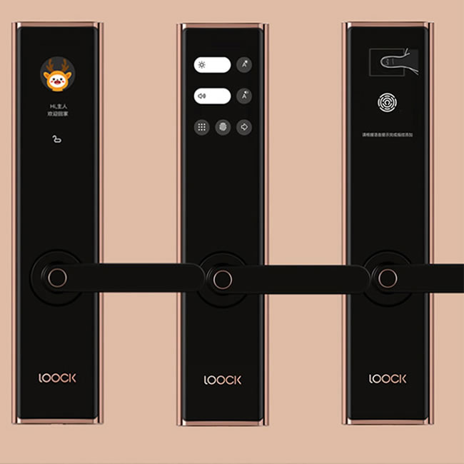 鹿客(LOOCK)Touch2 Pro防水指纹锁 触屏指纹锁