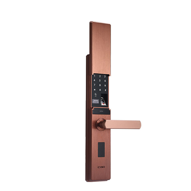 西巢电动滑盖指纹锁 RSDXC-QS650 电子密码门锁