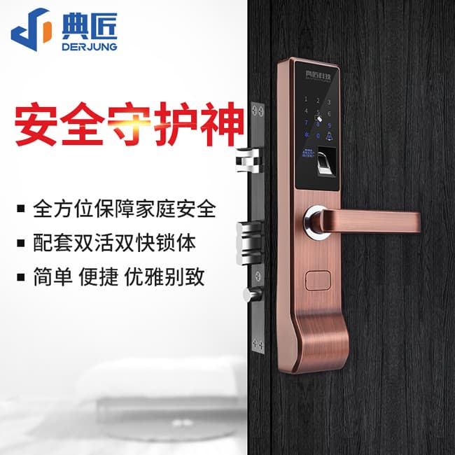 典匠智能锁 D6015家用防盗门密码锁大门锁