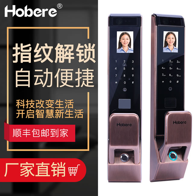 弘博汇指纹锁 D10人脸识别锁指纹密码锁