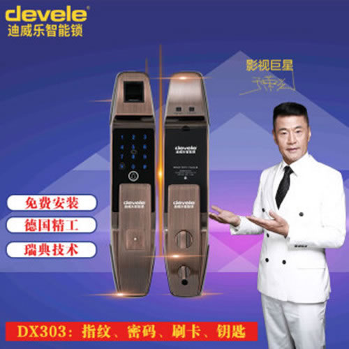 迪威乐智能锁 DX303家用防撬防盗门锁