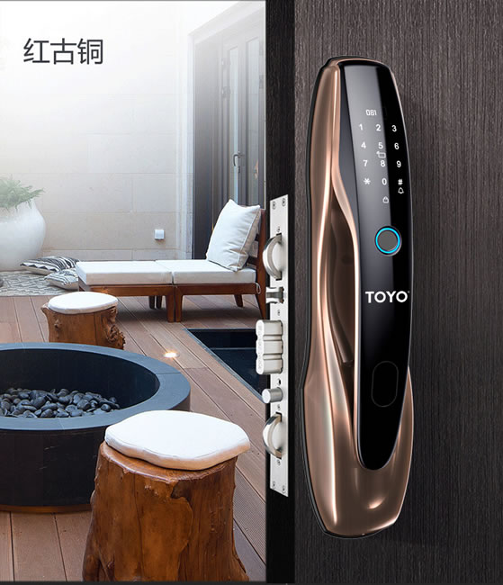 TOYO智能指纹锁E6S家用防盗密码自动门锁