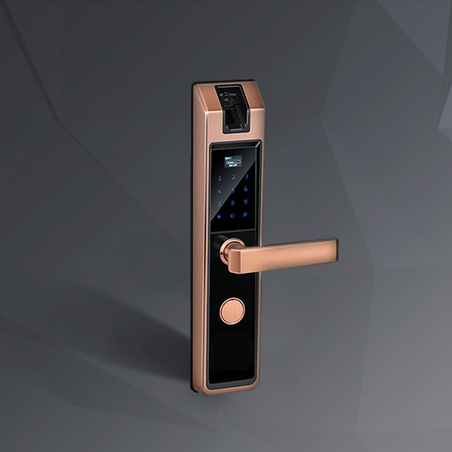 壹指盾智能锁 星脉K2指静脉智能锁