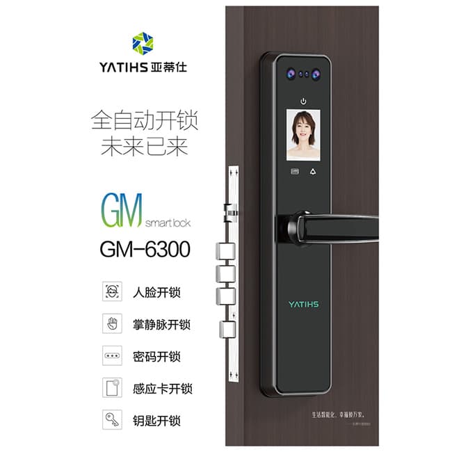 亚蒂仕智能锁 GM6300全自动人脸智能锁