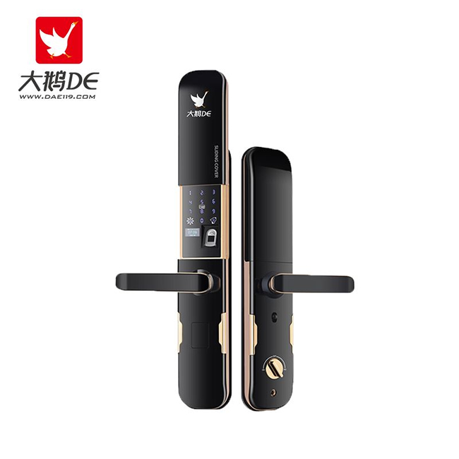 大鹅智能锁 家用自动滑盖智能锁