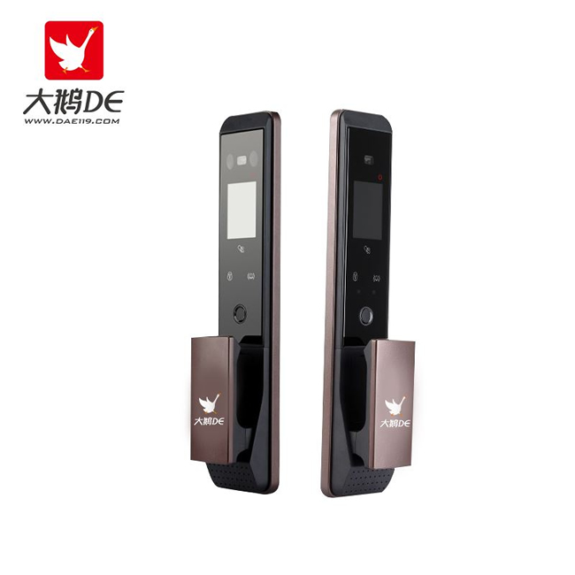 大鹅智能锁  全自动人脸识别家用智能锁