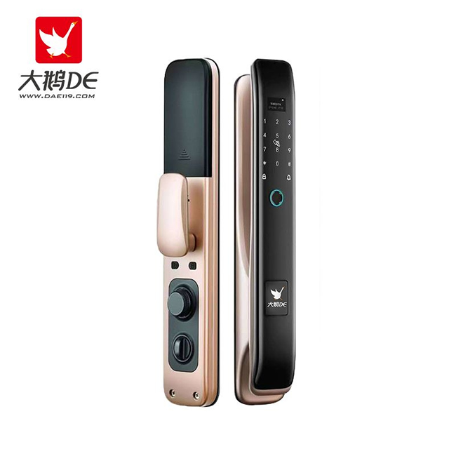 大鹅智能锁 防盗门全自动智能密码锁